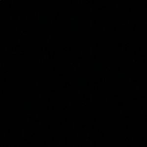 Meet your Posher, Analee